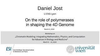 Daniel Jost - On the role of polymerases in shaping the 4D Genome Details