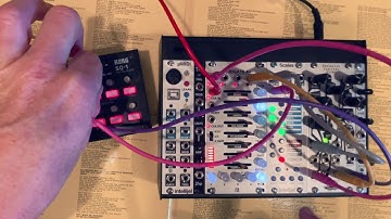 Sq-1 x Basimilus Iteritas Alter x Scales x Varigate - "New York New York"