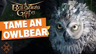 Baldur's Gate 3: How To Get The Owlbear Cub screenshot 5