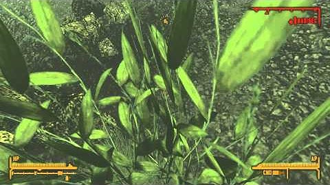 Fallout New Vegas water bug (1080p)