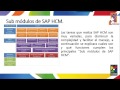 Proceso de Nómina en SAP HCM