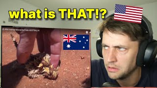 Aussie Animals Vs. Aussie People | American Reaction