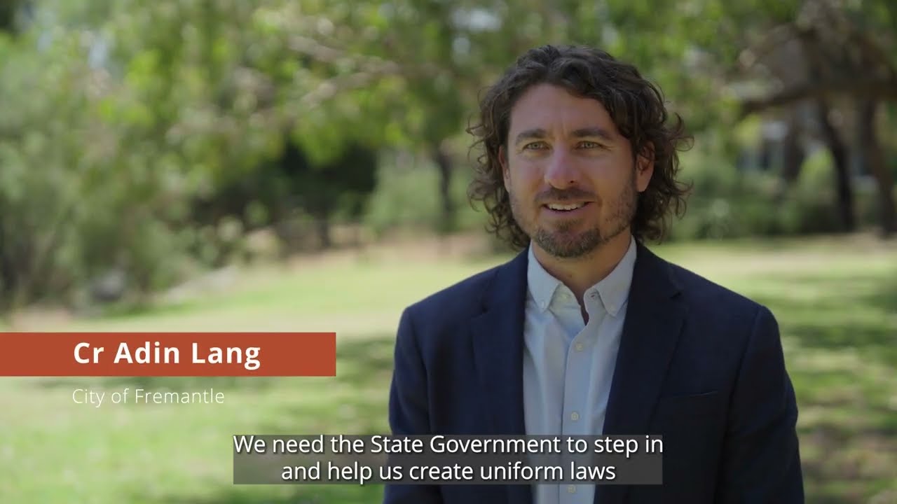 Cat containment - legislation change is needed in Western Australia