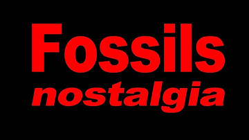 Fossils Nostalgia | Videos made between 1998 - 2006
