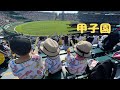 【甲子園】りんほのと阪神タイガース応援してきました