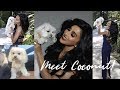 The truth about why my dog Coconut walks in Circles | Lilly Ghalichi Mir