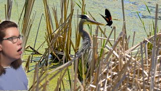 Testing Bird Eye Detect Autofocus on Sony A7IV