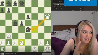 Chess.com on X: ♔ Chef Extraordinaire and Streamer @qtcinderella