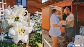 картинка: Создаем деревенский Оазис🌿/Сажаем сад🌿/Фаршированные 