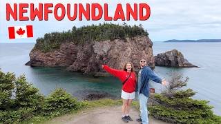 Most Underrated Place in Canada | Travelling Across Newfoundland