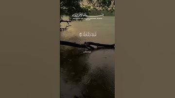 القرآن الكريم سورة الإخلاص #احمد_العجمي #قران_كريم #اكسبلور