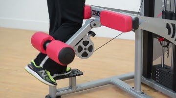 C-107 Atlantis Standing Leg Curl