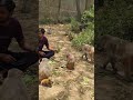 राम राम 🚩🚩#reels #monkey #cute #trend #shreeram #animals #animal