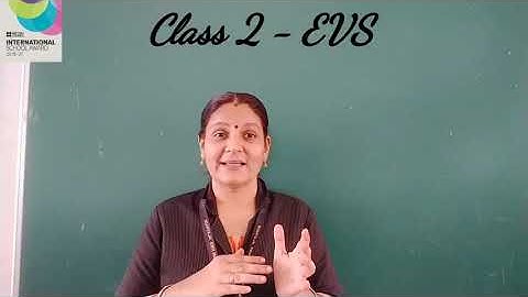 Class 2 EVS Chapter 4 - My Needs :Water (Part 1)