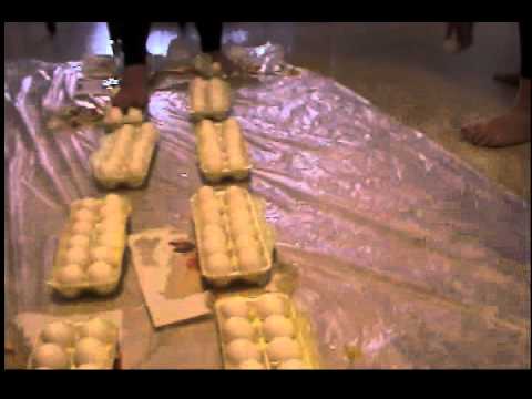 Egg Walk 