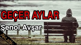 Geçer Aylar - Şenol Avşar 2021 Resimi