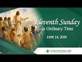 Eleventh Sunday in Ordinary Time
