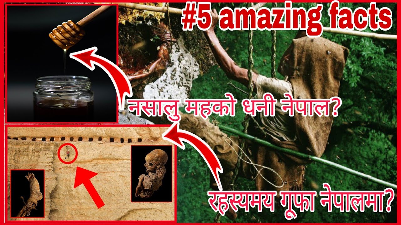 Mad Honey || Skycave In Mustang || #5 Amazing Facts about Nepal || नेपालका रोचक तथ्यहरु😱🇳🇵