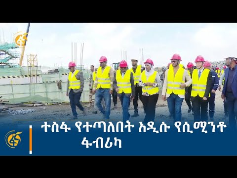 ቪዲዮ: እንዴት እንጆሪዎችን በመጸው መትከል ይቻላል? አንዳንድ ጠቃሚ ምክሮች