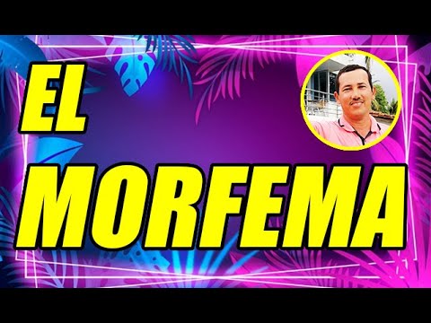 EL MORFEMA (GRAMÁTICA)