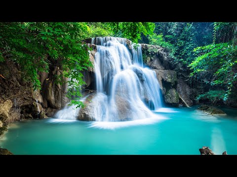 Relaxing Music For Stress Relief Anxiety and Depressive States Heal Mind Body and Soul