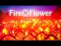 【100名超え!?】Fire◎Flowerで10周年をヲタ芸で祝う！【GinyuforcE】