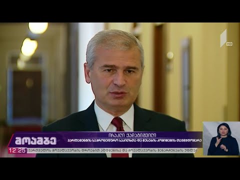 „ამნისტიის შესახებ“ კანონპროექტის განხილვა