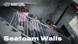 Seafoam Walls - Dependency | Audiotree Worldwide