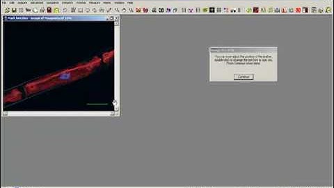 Apply a Calibration Marker - Image-Pro Plus Software