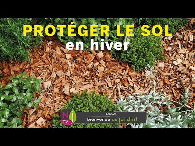 Protéger ses plantes du froid, conseils et astuces