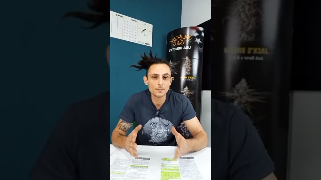 DIFFERENZA SOSTANZIALE!! 