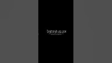 قال بل سولت لكم أنفسكم #اجر_لي_ولكم #قران_كريم سورة يوسف #قرآن 🤍