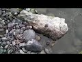 PESCANDO EN CADEREYTA NUEVO LEON.⛰🐟🦞🐠 Carpas,Mojarras y langostinos rojos.