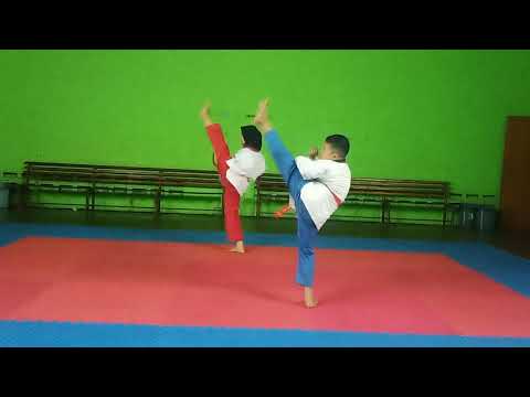 14 GERAKAN DASAR TAEKWONDO (VERSI SAMPING)