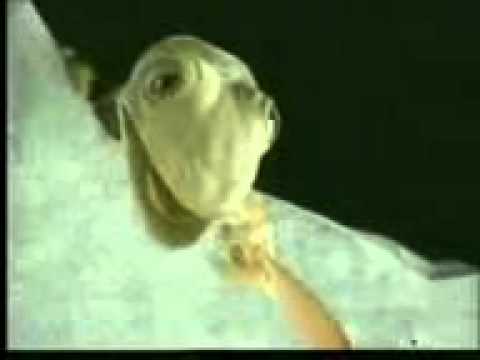 اليسا يا نعيش مع بعض