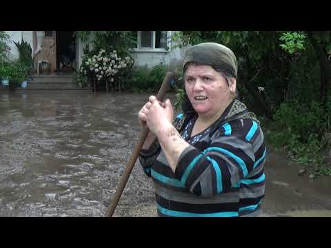 Gölyaka Sele Teslim