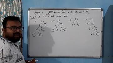 Class 4 Chapter 5 Multiples and Factors/ Q.A/ Exercise 5.5/ ncert