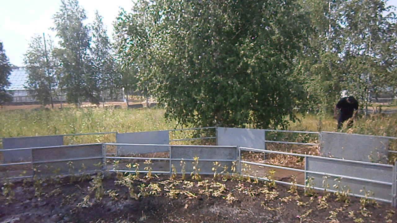 Текст коляда иван купала