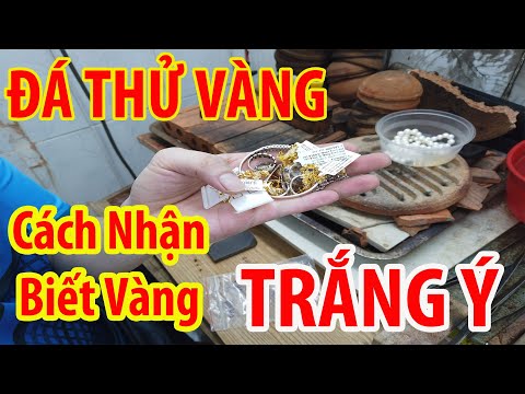 #Vlog 17: Cách Nhận Biết Vàng Trắng ý Và Việt Nam Bằng Đá Thử Vàng Trong 1 Nốt Nhạc | Sang LÝ ATV | mới nhất 2023