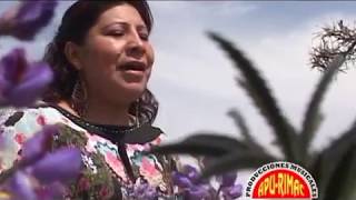 Video thumbnail of "JULIA ILLANES Hace mucho tiempo (Huayno Ayacucho)"