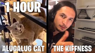 1 HOUR Alugalug CAT X The Kiffness Gato Cantando 1H Singer Cat 1 Hora