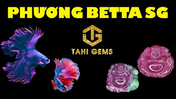 Mặt Phật Di Lặc đá Ruby tầm giá 10 triệu cho chị Phương chủ trang trại Betta Sài Gòn