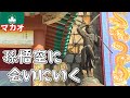 そこは西遊記の世界。孫悟空を祀るお寺【澳門大聖園】