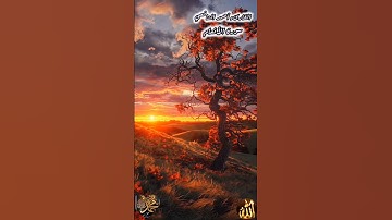 عالم الهدوء والراحة النفسية مع القارىء أحمد الشافعي بن إبراهيم الدمشقي سورة الأنعام ص ١٣٥