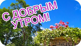 Доброе Утро! 🌸Желаю Вам Хорошего Денька!🌸 Пусть Станет Он Светлее От Тепла!🌸Музыкальная Открытка🌸