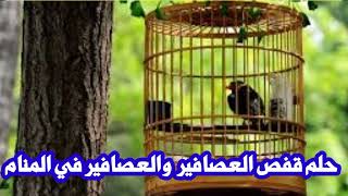 رؤية حلم قفص العصافير وحلم العصافير فى المنام