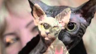 The 10 of Strange and Hideous Creatures by TenRanking 100 views 8 years ago 3 minutes, 46 seconds