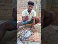 🤤நமக்கு வேணும்னா நம்மதான் செய்யணும் #fishing #trending #fish #shortsviral #shortvideo #shorts #viral