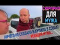 Жена купила трех щенков. Муж ничего не знал! Реакция мужа...