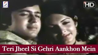 तेरी झील सी गहरी Teri Jheel Si Gehri Lyrics in Hindi